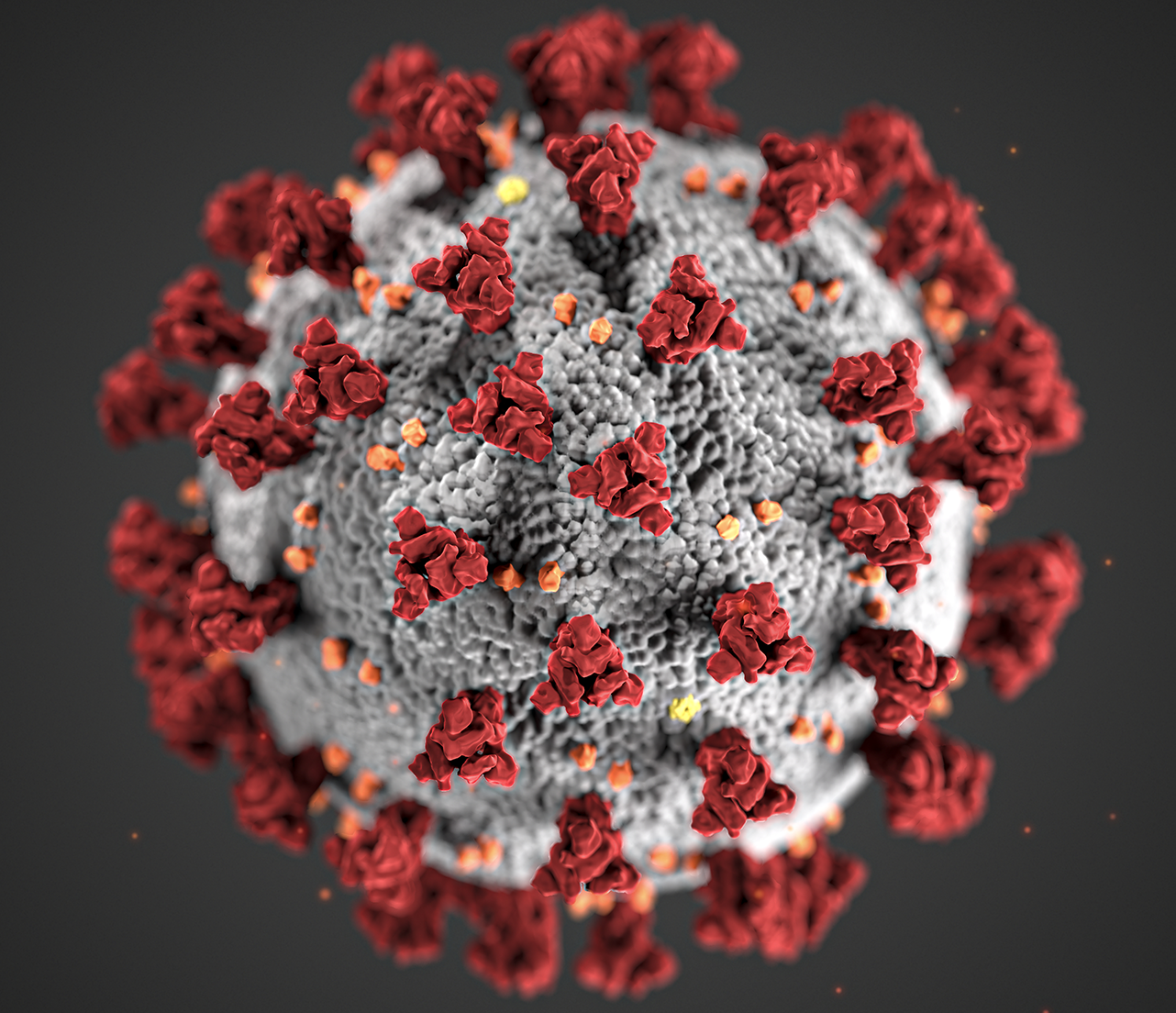 Coronavirus cell.