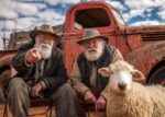 Two old men sitting in front of a rusty old ute. A sheep is standing in the foreground.